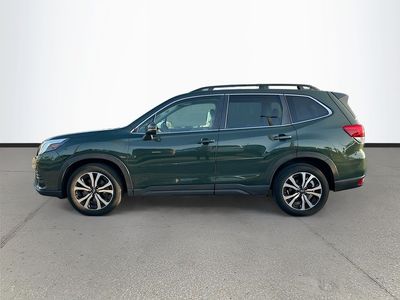 2024 Subaru Forester — interior view