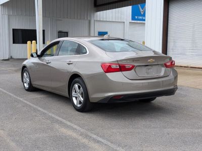 2025 Chevrolet Malibu - Photo 3