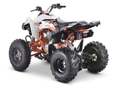 2023 Kayo Jackal 200 - Photo 6