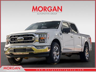 2022 Ford F-150 XLT in White — front three-quarter view