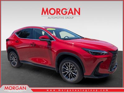 2025 Lexus NX 250 Premium in Redline — front three-quarter view