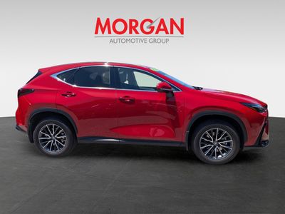 2025 Lexus NX — rear three-quarter view