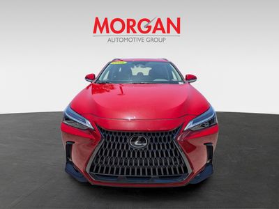 2025 Lexus NX — photo 9 view