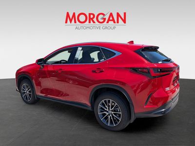 2025 Lexus NX — engine compartment view