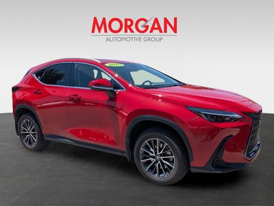 2025 Lexus NX — side profile view