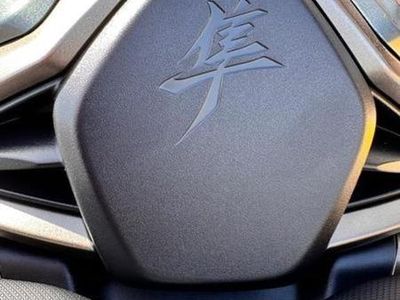 2025 Suzuki Hayabusa - Photo 9