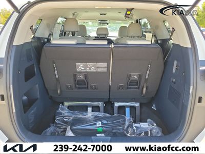 2026 Kia Carnival Hybrid — photo 11 view