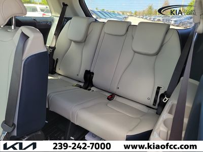 2026 Kia Carnival Hybrid — photo 14 view
