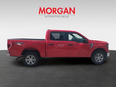 2023 Ford F-150 — interior view