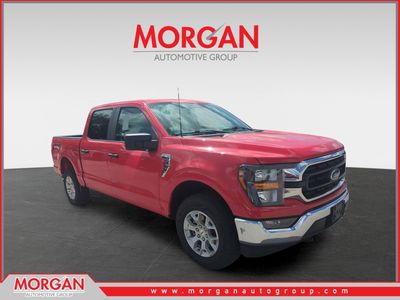 2023 Ford F-150 XLT in Red — front three-quarter view