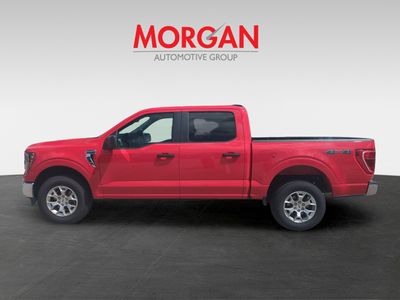 2023 Ford F-150 — photo 8 view