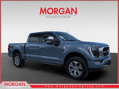 2023 Ford F-150 Platinum in Gray — front three-quarter view
