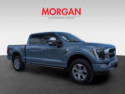 2023 Ford F-150 — side profile view