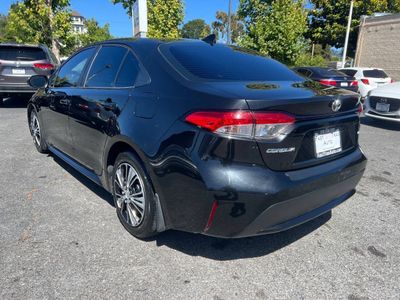 2020 Toyota Corolla - Photo 3