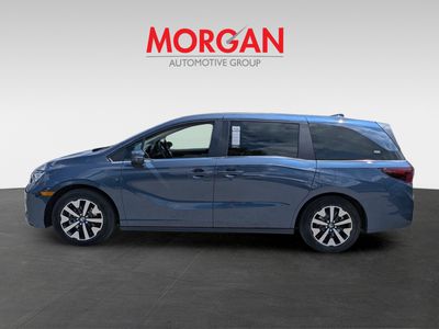 2025 Honda Odyssey - Photo 7