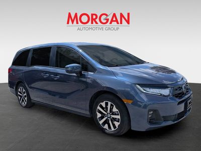 2025 Honda Odyssey - Photo 2