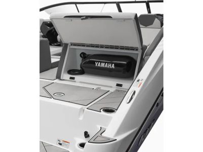 2025 Yamaha 252XE — detail view