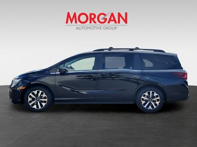 2026 Honda Odyssey — photo 8 view