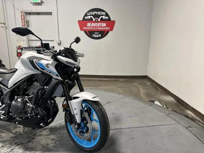 2026 Yamaha MT03TGY - Photo 15