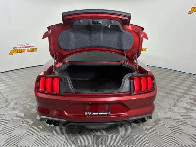 2019 Ford Mustang — detail view