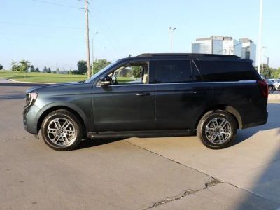 2025 Ford Expedition — rear three-quarter view