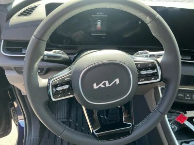 2026 Kia Carnival — photo 14 view