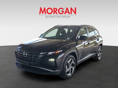 2024 Hyundai Tucson Plug-In Hybrid - Photo 4