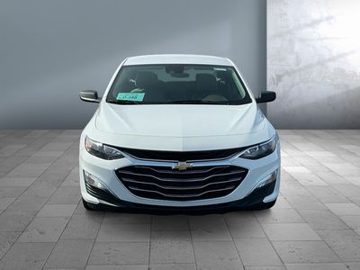2023 Chevrolet Malibu - Photo 2