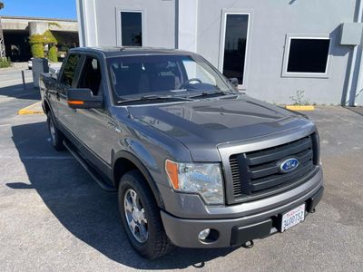 2010 Ford F-150 - Photo 1