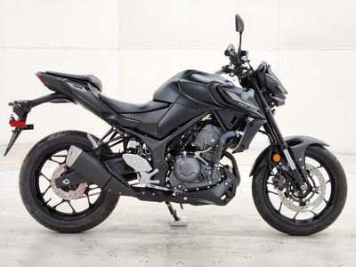 2025 Yamaha MT-03 - Photo 8