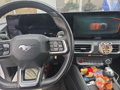 2024 Ford Mustang - Photo 15