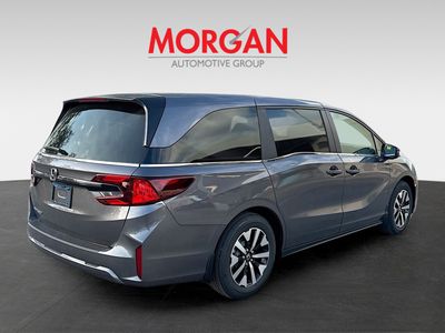 2026 Honda Odyssey — photo 7 view