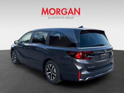 2026 Honda Odyssey — detail view
