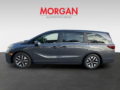 2026 Honda Odyssey — interior view