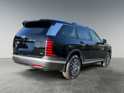 2026 Hyundai Palisade — detail view