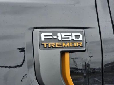 2025 Ford F-150 - Photo 33