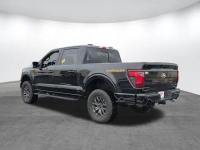 2025 Ford F-150 - Photo 7