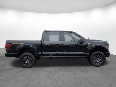 2025 Ford F-150 - Photo 4