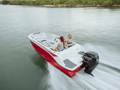 2025 Bayliner M15 - Photo 41