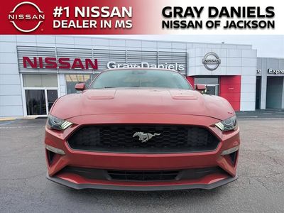 2021 Ford Mustang - Photo 2
