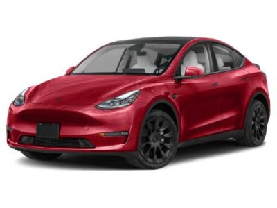 2025 Tesla Model Y Long Range in White — front three-quarter view