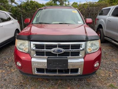 2011 Ford Escape - Photo 3