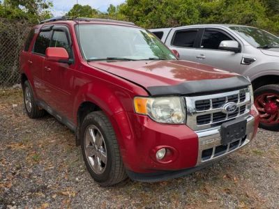 2011 Ford Escape - Photo 2