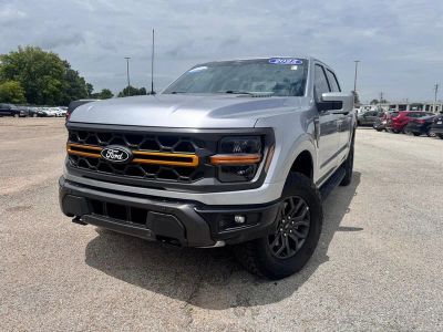 2025 Ford F-150 Tremor in Silver Metallic — front three-quarter view