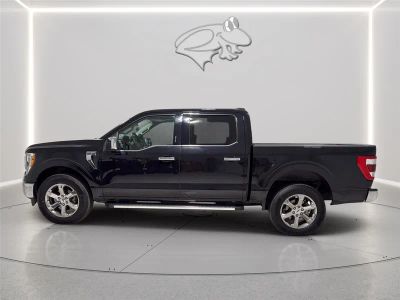 2022 Ford F-150 — side profile view