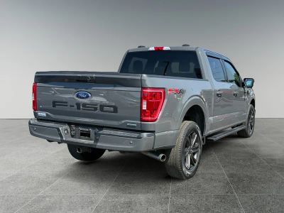 2021 Ford F-150 — detail view