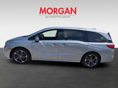 2024 Honda Odyssey — photo 7 view