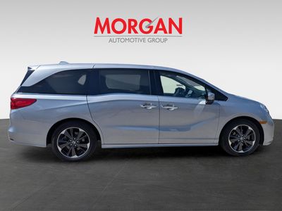 2024 Honda Odyssey — rear three-quarter view