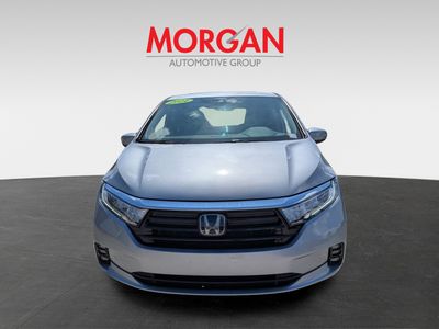 2024 Honda Odyssey — photo 10 view