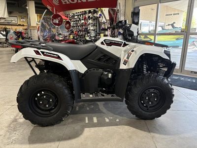 2025 Kawasaki Brute Force 450 4x4 - Photo 4